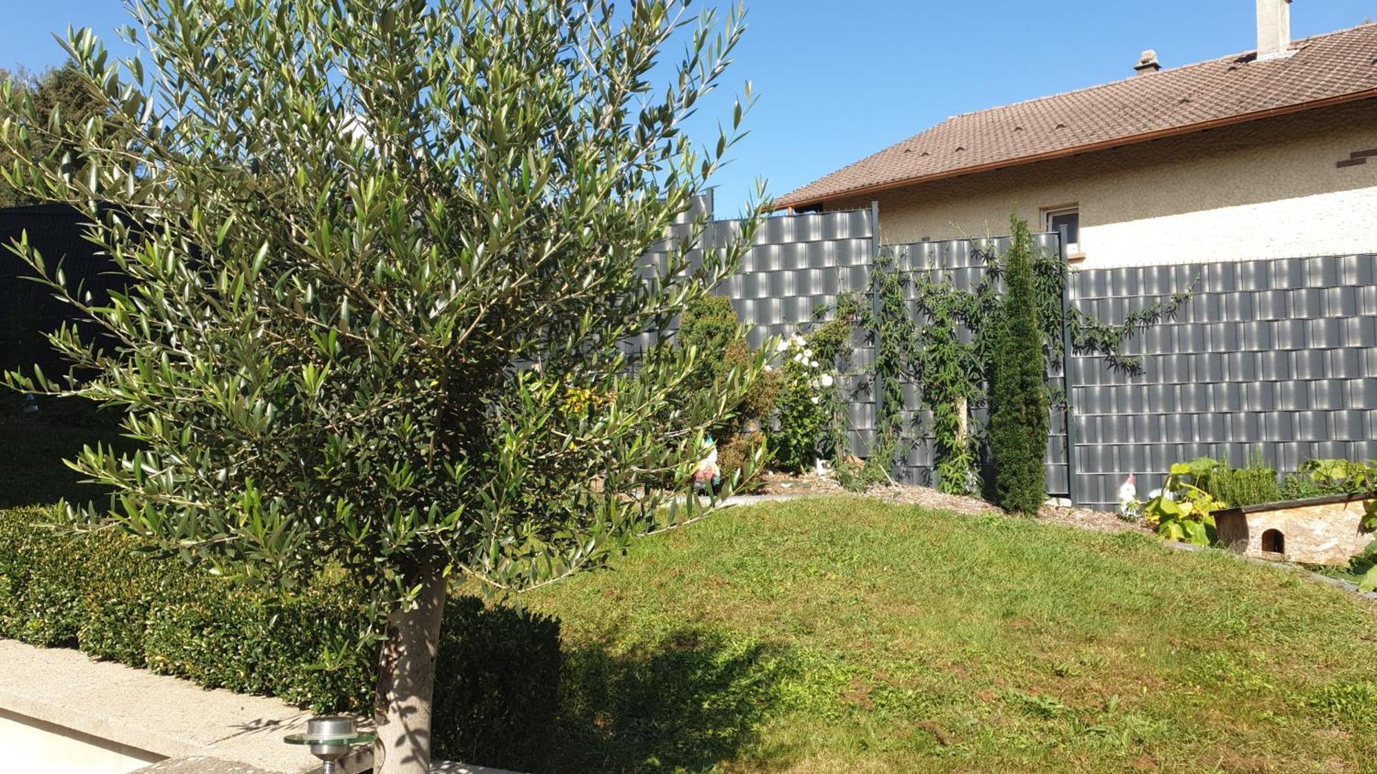 Le Gite Du Fort Bitche Exterior foto